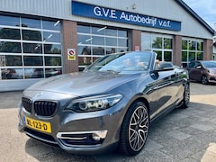BMW 2-Serie - 220I HIGH EXECUTIVE NAP LOGISCH