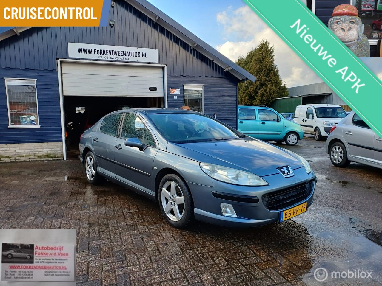 Peugeot 407 - 2.0-16V XR Pack Garantie, alle inruil mogelijk - AutoWereld.nl