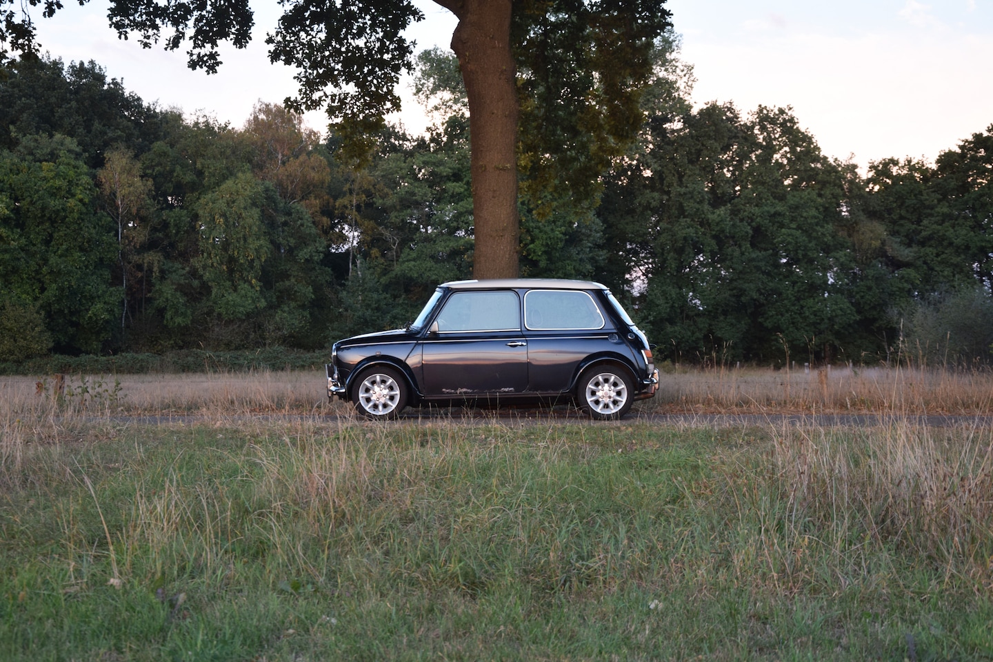 Rover Mini - 1.3 Classic Sportspack MPI – Anthracite – 79.600km  Y2000 - AutoWereld.nl