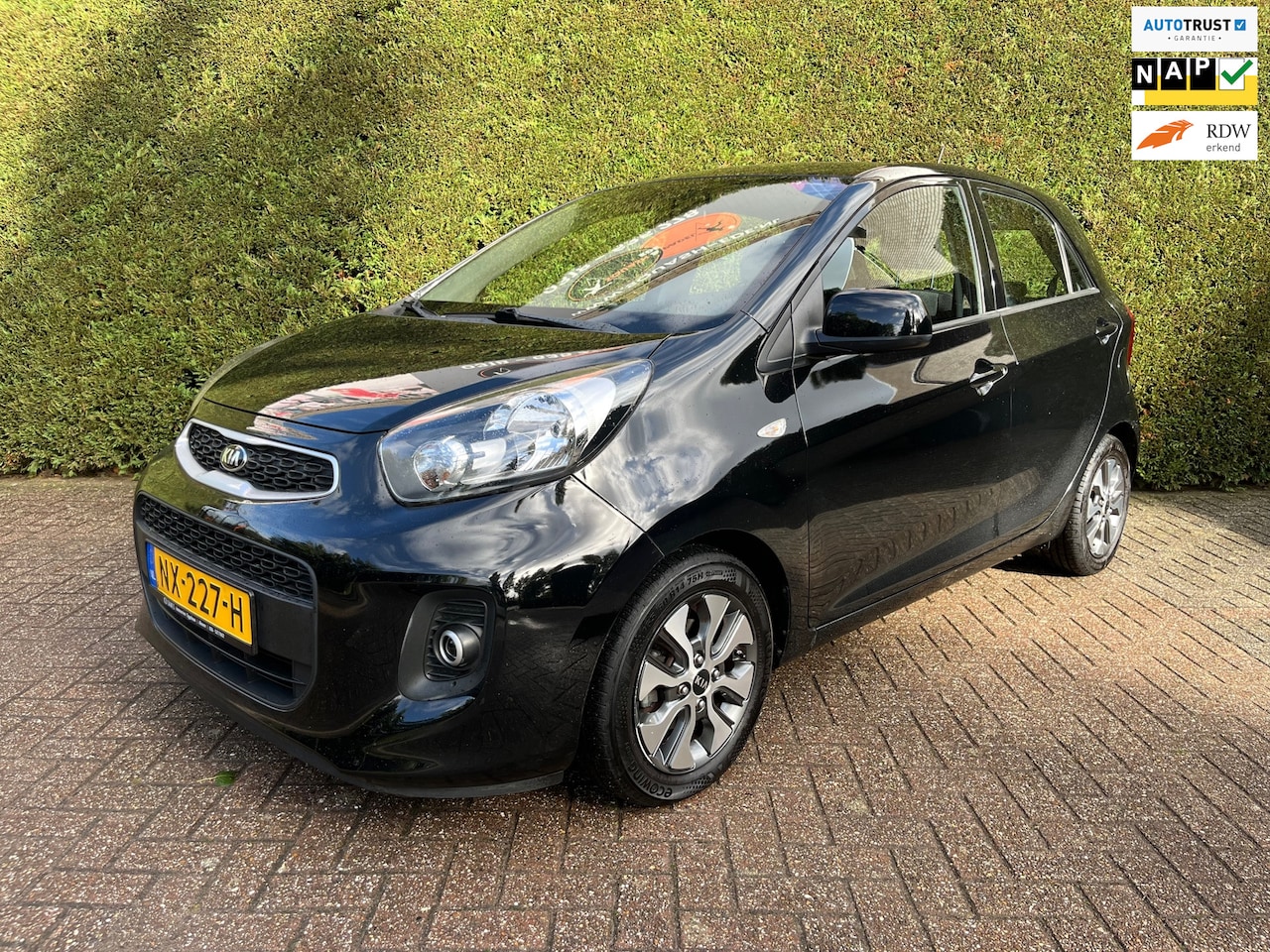 Kia Picanto - 1.0 CVVT EconomyPlusLine 1.0 CVVT EconomyPlusLine, Navi, Camera, Airco, Eerste eigenaar. - AutoWereld.nl