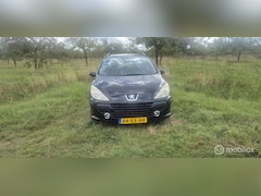Peugeot 307 Break - 1.6-16V XS nette , goed onderhouden auto