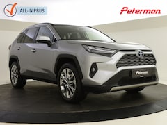 Toyota RAV4 - 2.5 Hybrid AWD Executive | Panoramadak | JBL | BLS