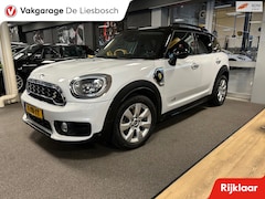 MINI Countryman - 2.0 Cooper S E ALL4 Chili / Airco / PDC / Navigatie /