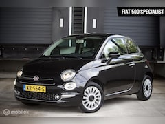 Fiat 500 - Lounge 0.9| Cruise control | Airco | Panoramadak |