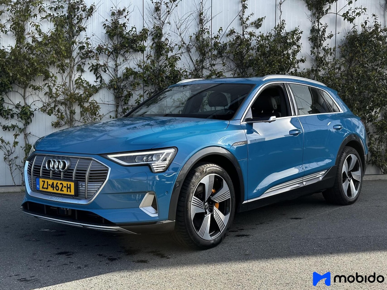 Audi e-tron - e-tron 55 quattro advanced Pro Line Plus 95 kWh - AutoWereld.nl