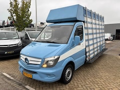 Mercedes-Benz Sprinter - 313 cdi glasresteel