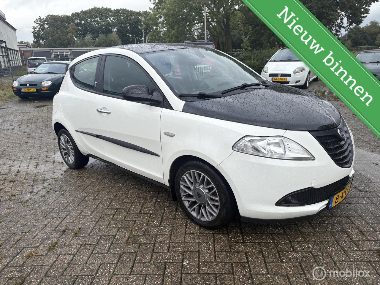 Lancia Y(psilon) - Ypsilon 0.9 TwinAir Silver - AutoWereld.nl