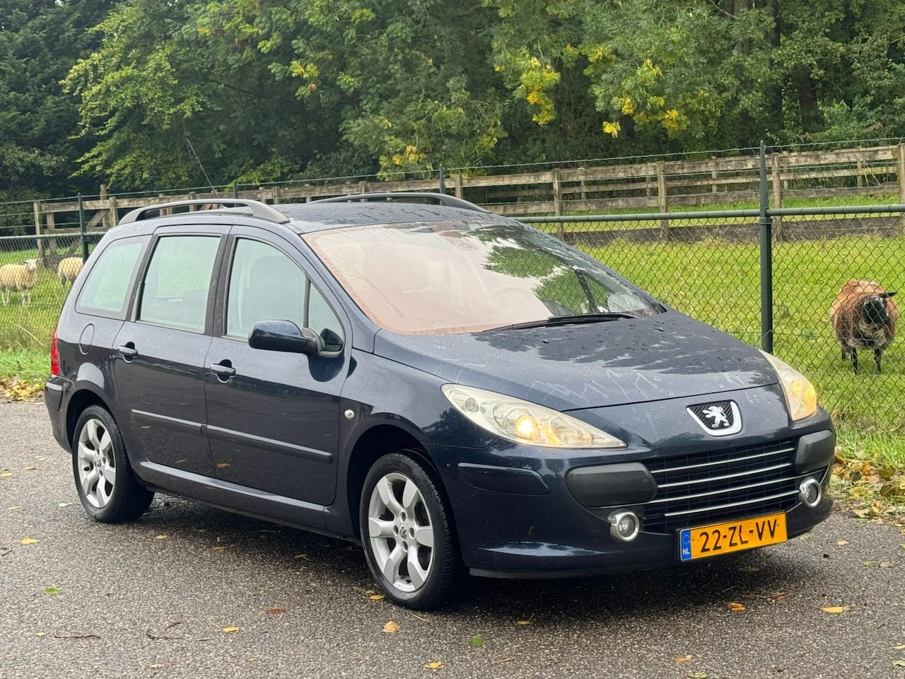 Peugeot 307 Break - 2.0-16V Premium /Airco/Cruise/ - AutoWereld.nl