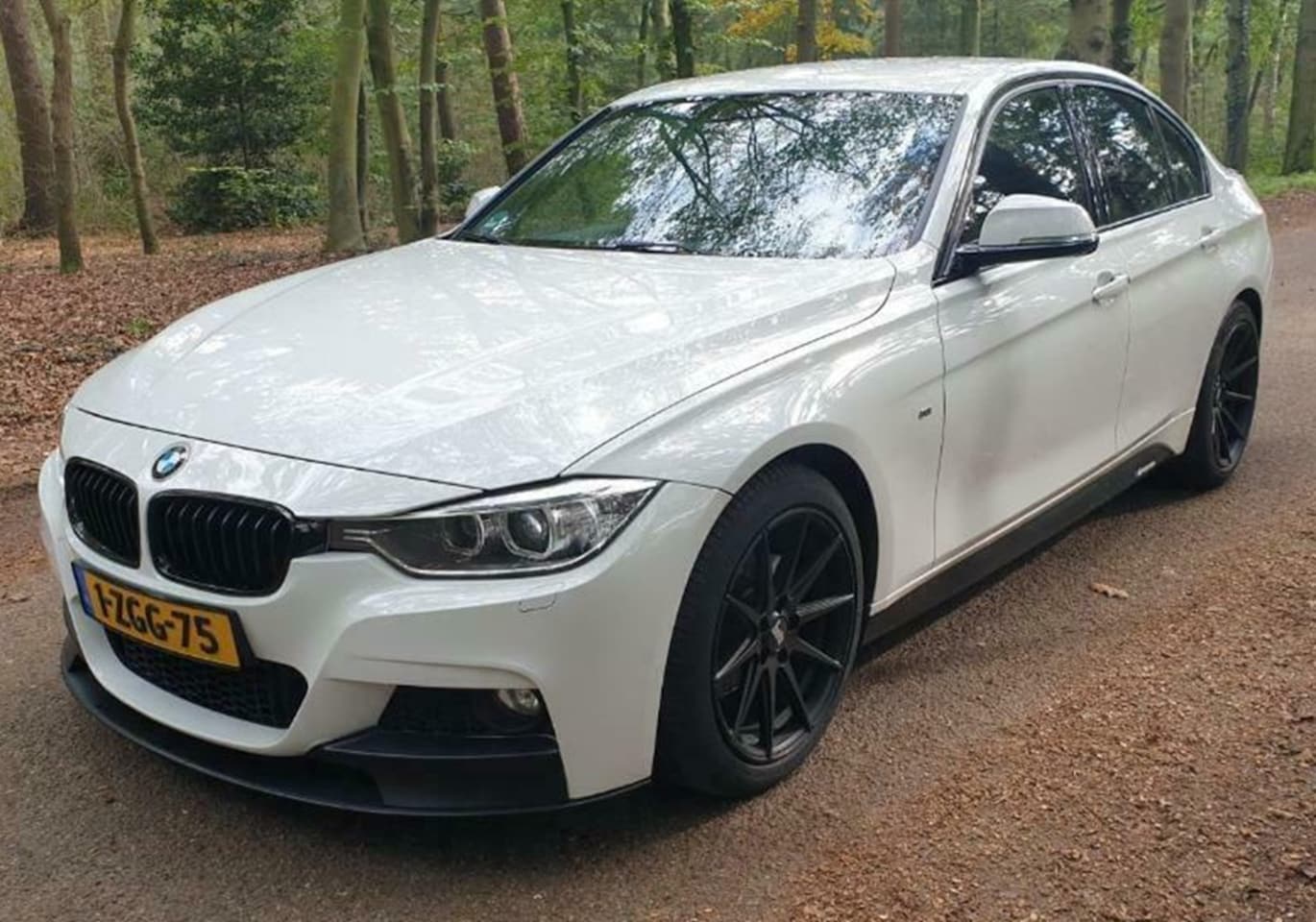 BMW 3-serie - 316i M Sport Executive M-Performance - AutoWereld.nl