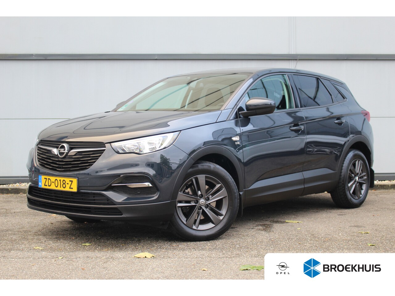 Opel Grandland X - 1.2 Turbo 120 Jaar Edition | Carplay | PDC A | LED | Climate | Cruise | LMV 17" | Carplay - AutoWereld.nl
