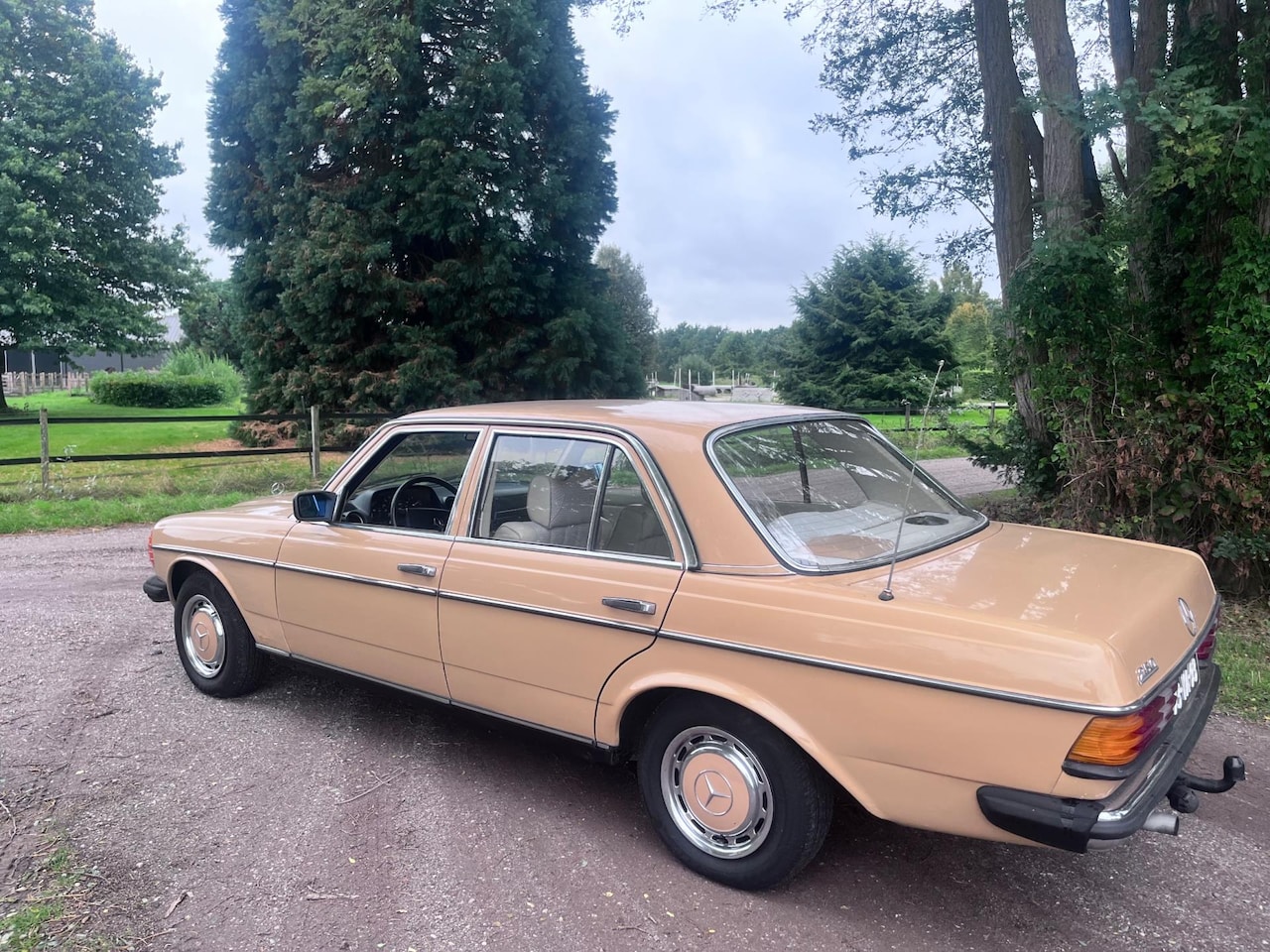Mercedes-Benz 200-280 (W123) - 250 250 - AutoWereld.nl