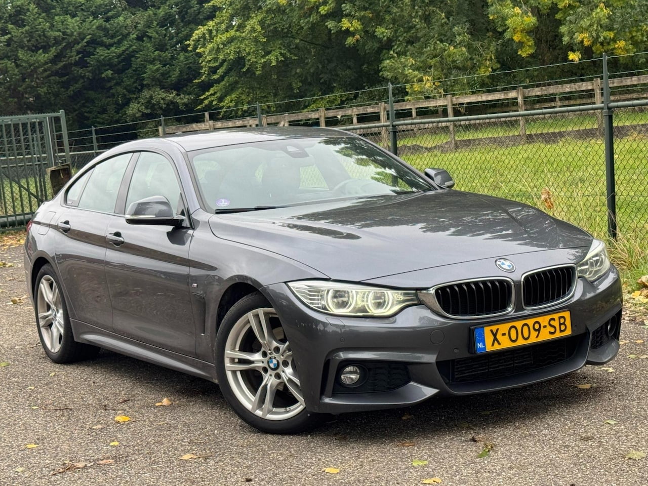BMW 4-serie Gran Coupé - 420i /Xenon/Navi/Automaat/ - AutoWereld.nl