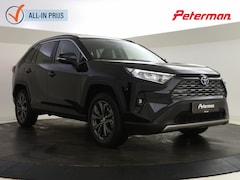 Toyota RAV4 - 2.5 Hybrid Style Edition | Stuur en Stoelverming | PDC V+A
