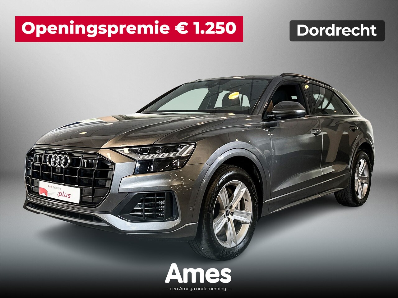 Audi Q8 - 55 340pk TFSI e quattro Pro Line Plus | Assistentiepakket Tour - City - Parking plus | Mat - AutoWereld.nl