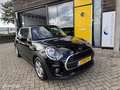 MINI One - 1.5 Pepper