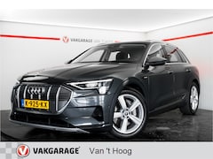 Audi e-tron - 50 quattro Business Edition Plus 71 kWh Panoramadak Leder