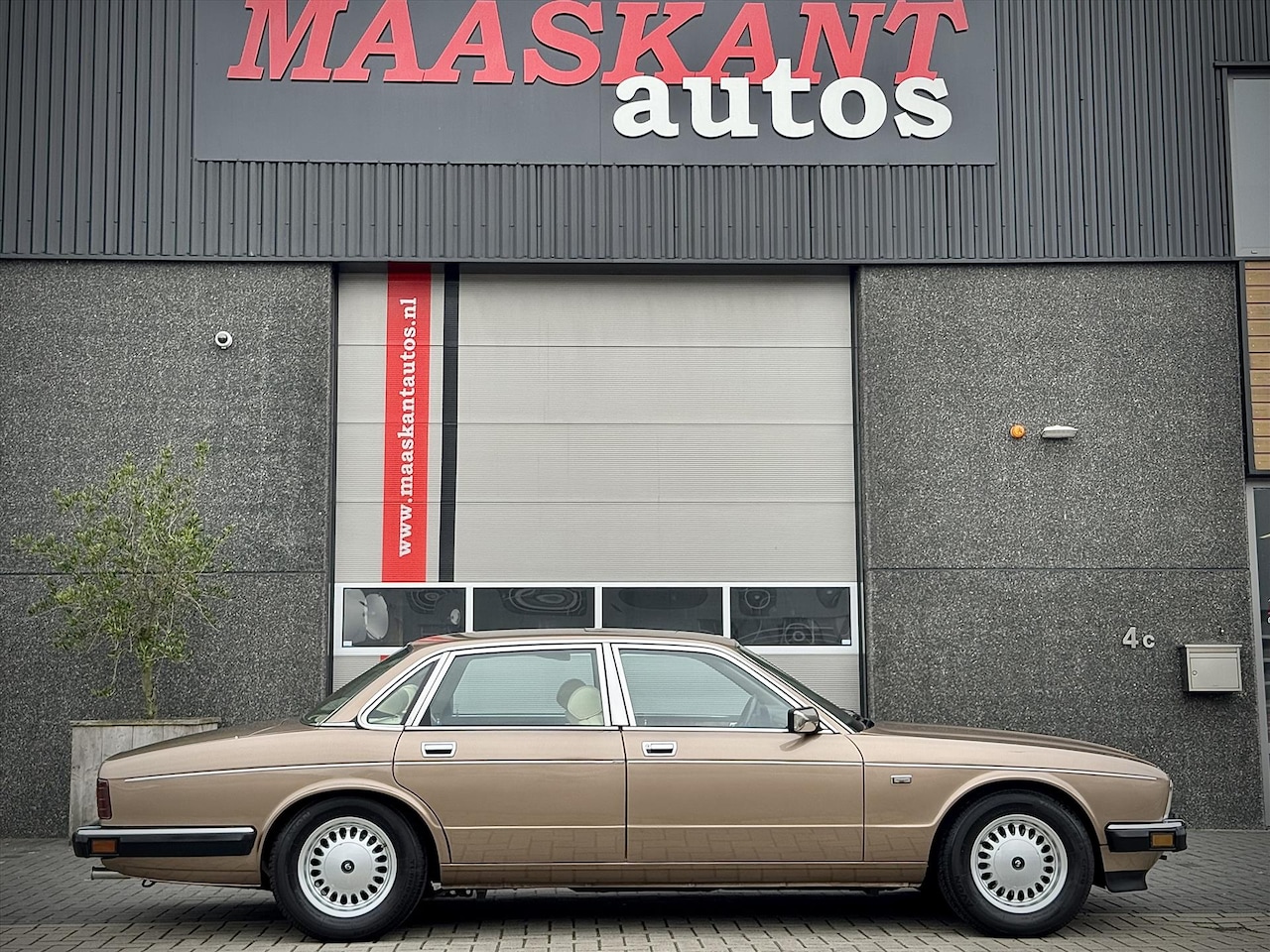 Jaguar XJ - XJ-6 3.6 / Daimler / Rare early example / Satinbeige / 1987 / HIGHLY MAINTAINED & DETAILED - AutoWereld.nl