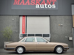 Jaguar XJ - XJ-6 3.6 / Daimler / Rare early example / Satinbeige / 1987 / HIGHLY MAINTAINED & DETAILED