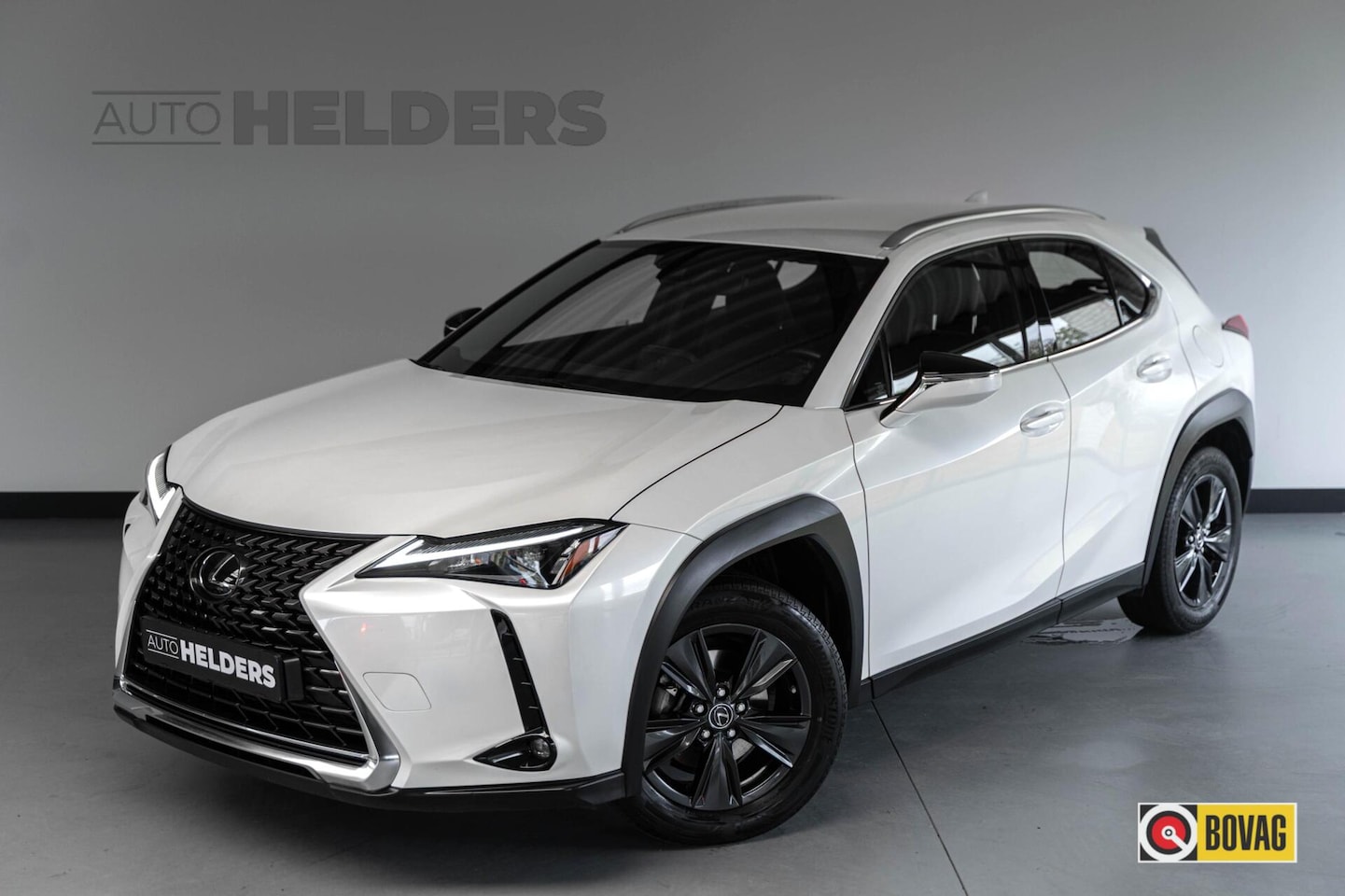 Lexus UX - 250h Business Line Adaptief Cruise Lane Carplay - AutoWereld.nl