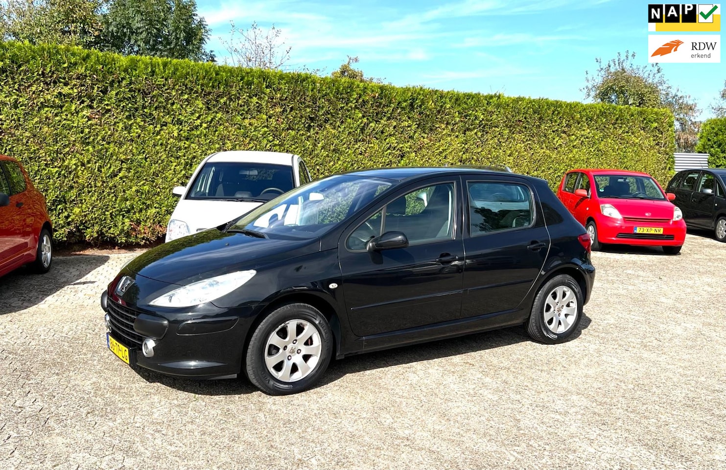 Peugeot 307 - AIRCO APK KM NAP PERFECT RIJDEND 5 DEURS - AutoWereld.nl