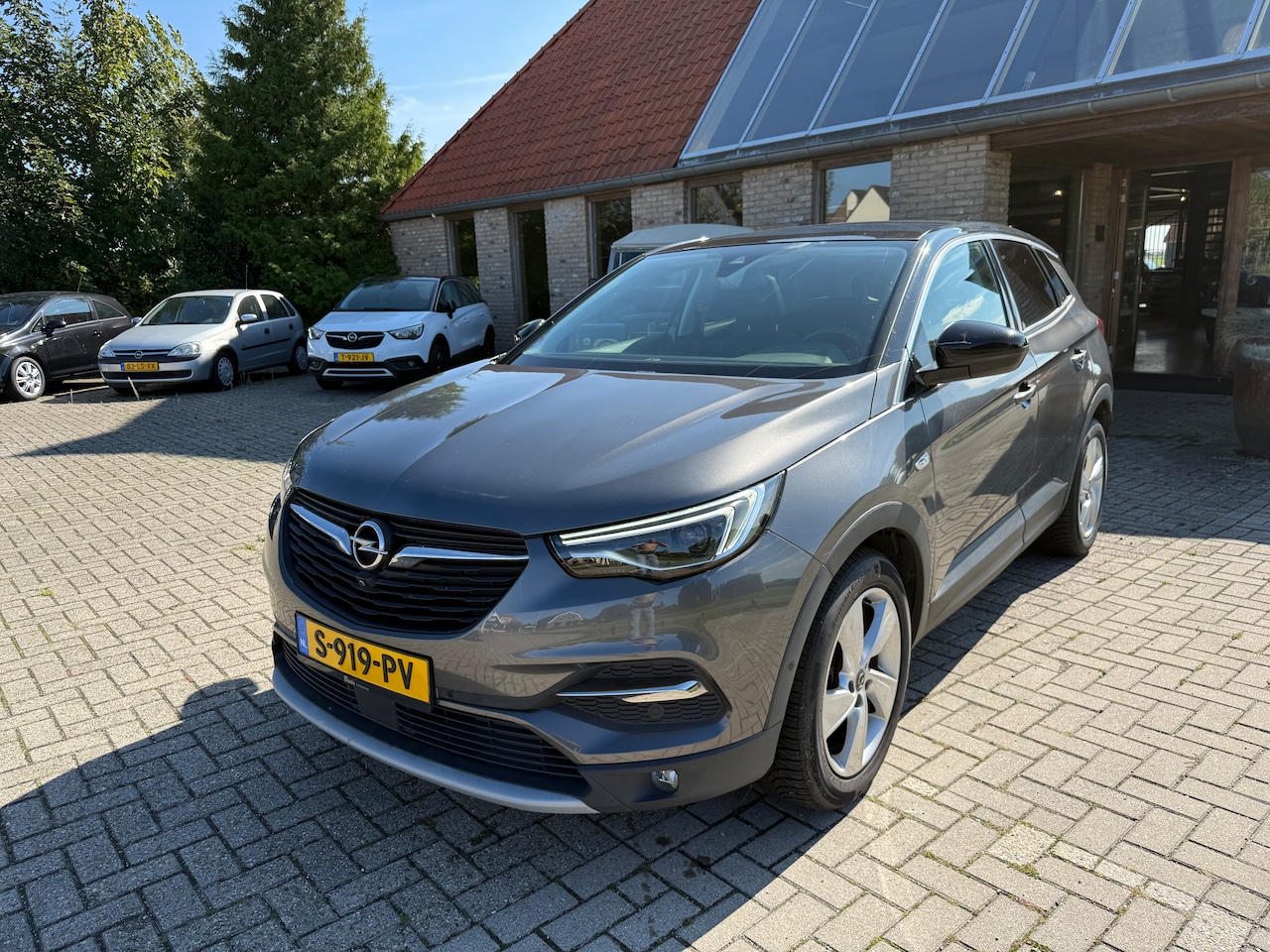 Opel Grandland X - 1.2 Turbo Ultimate Panorama dak plus lederen bekleding