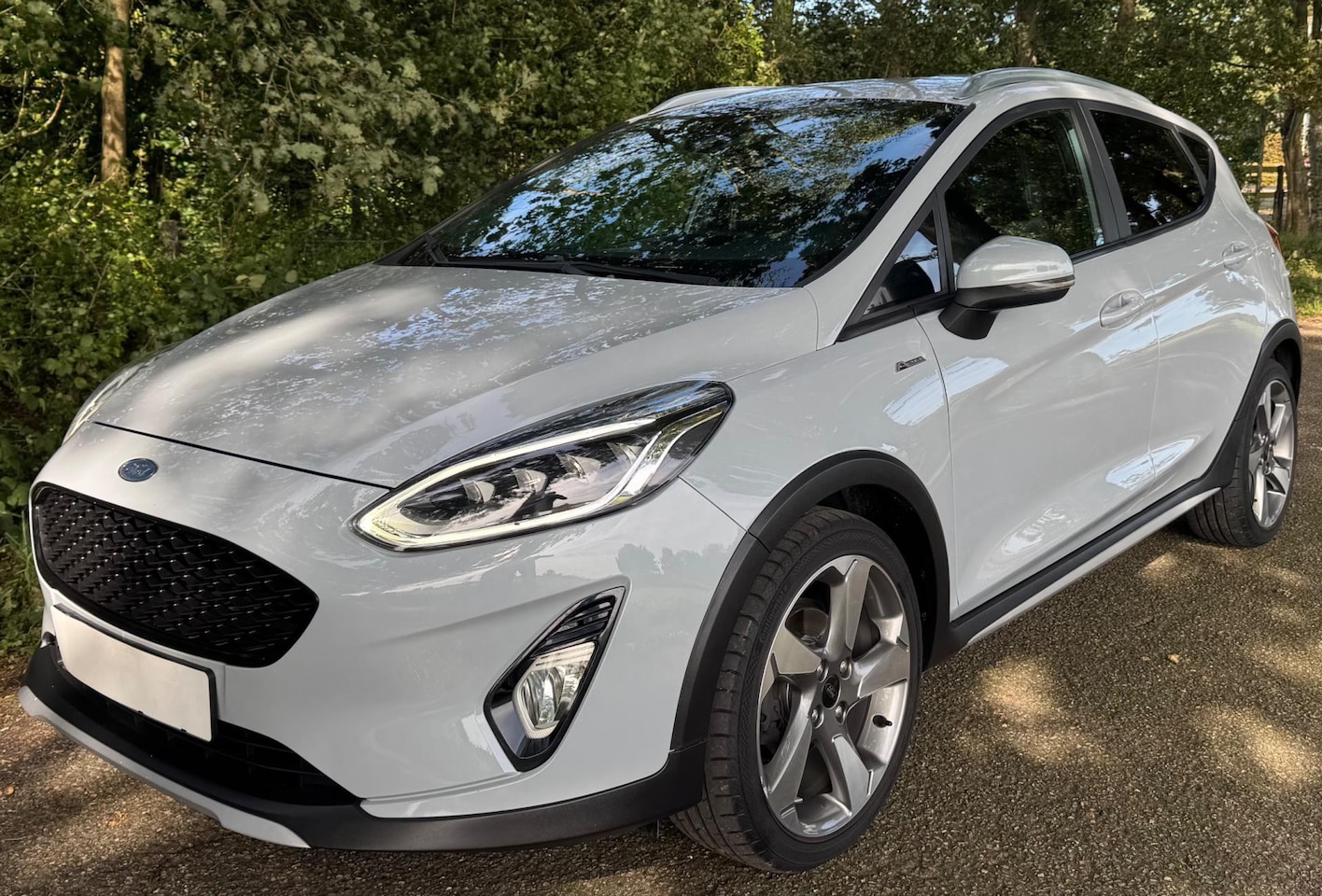 Ford Fiesta - 1.0 EcoBoost Active Plus 2018 B&O 125PK NAVI CLIMA LED - AutoWereld.nl