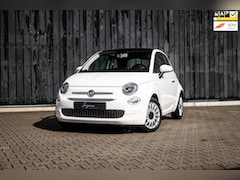 Fiat 500 - 0.9 TwinAir Turbo | Panorama | Cruise | Aut Airco |