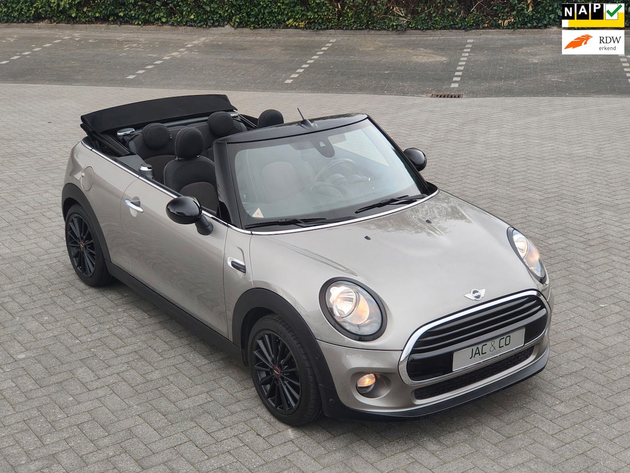 MINI Cabrio - 1.5 Cooper Pepper Business NAVI NAP 100% Dealer onderhouden - AutoWereld.nl