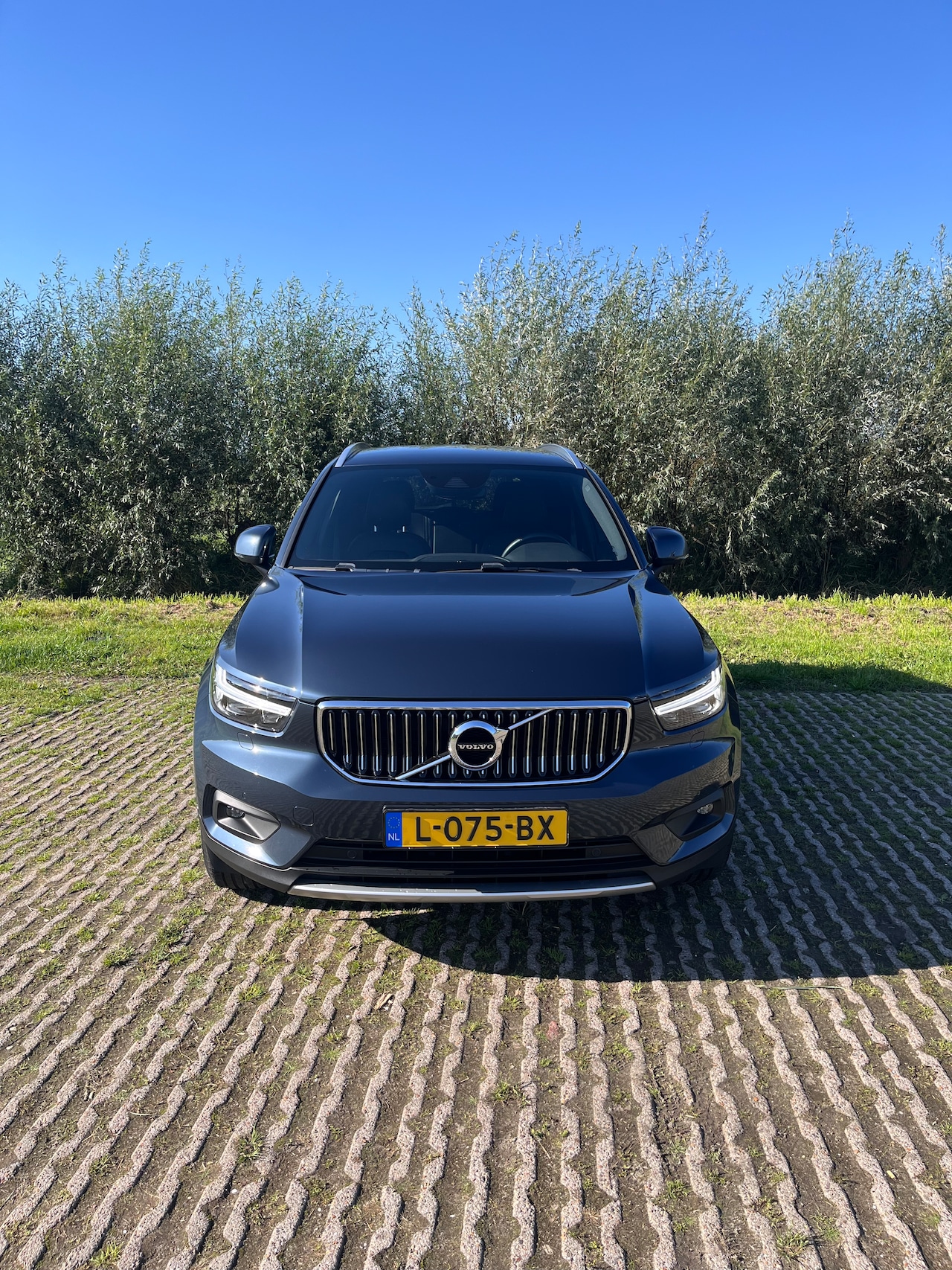 Volvo XC40 - 1.5 T3 Inscription - AutoWereld.nl