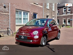 Fiat 500 - 1.2 Lounge| Panoramadak | Bordo Metallic | Uconnect
