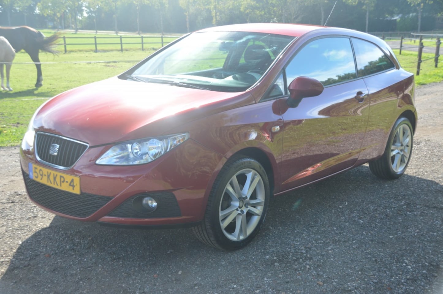 SEAT Ibiza SC - 1.4 Sport-up 17 inch Clima Cruise - AutoWereld.nl