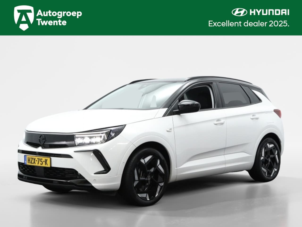 Opel Grandland - 1.6 T Hybrid 4x4 GSe 300PK | Navigatie | Camera | Cruise control - AutoWereld.nl