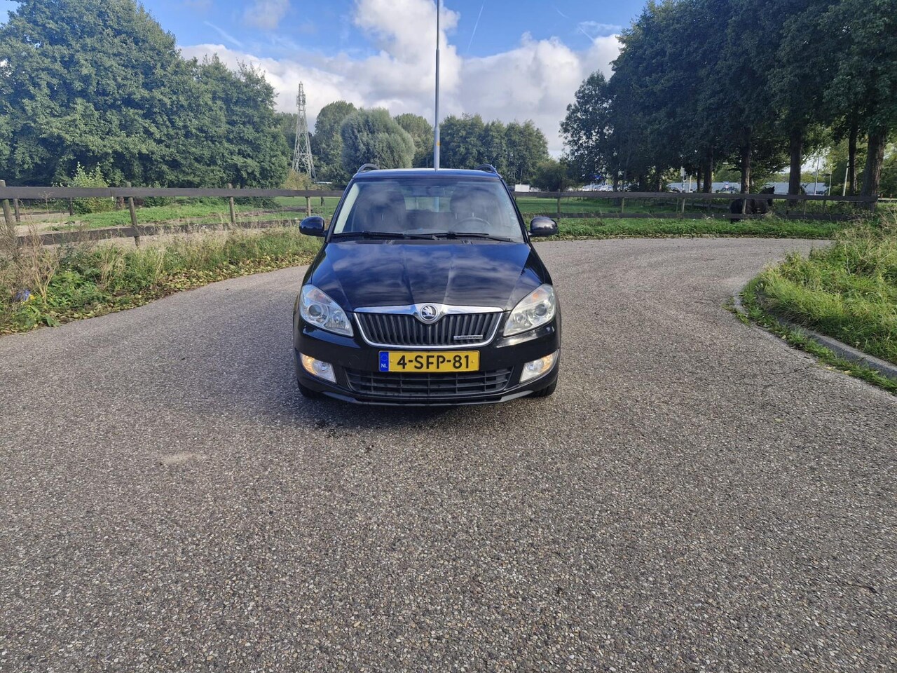 Skoda Fabia Combi - 1.2 TDI Greenline Businessline Airco Cruise Trekhaak - AutoWereld.nl