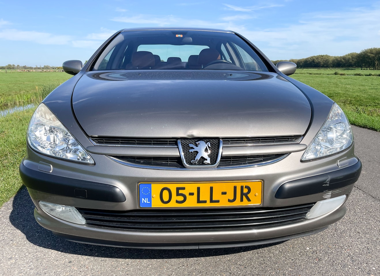 Peugeot 607 - 2.2-16V Executive - AutoWereld.nl