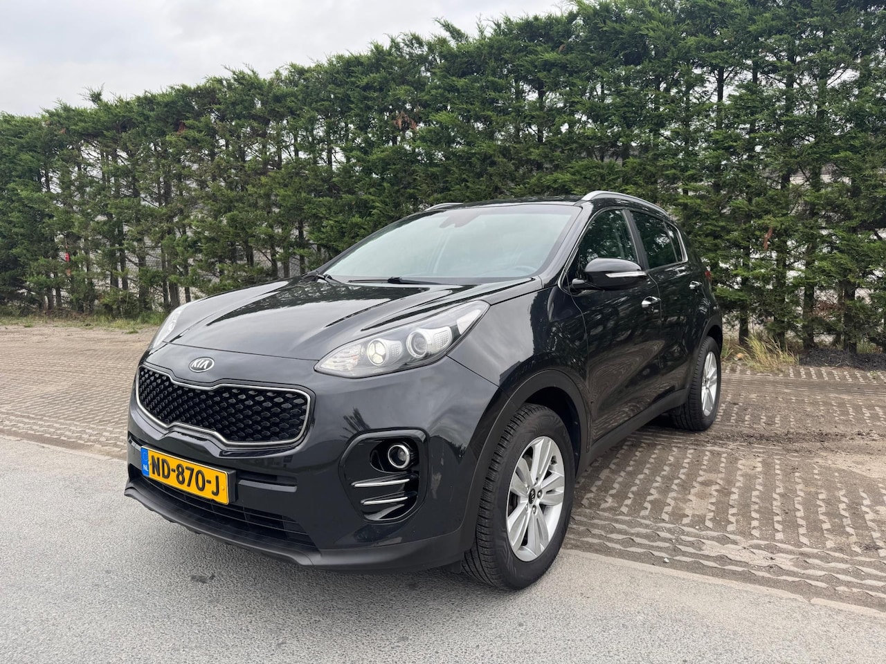 Kia Sportage - 1.6 GDI DynamicLine 1.6 GDI DynamicLine - AutoWereld.nl