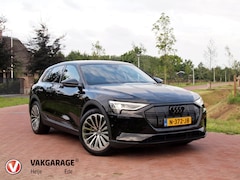 Audi e-tron - 55 quattro edition 95 kWh | Cruise Control | Parkeersensoren | DAB | NL-Auto |