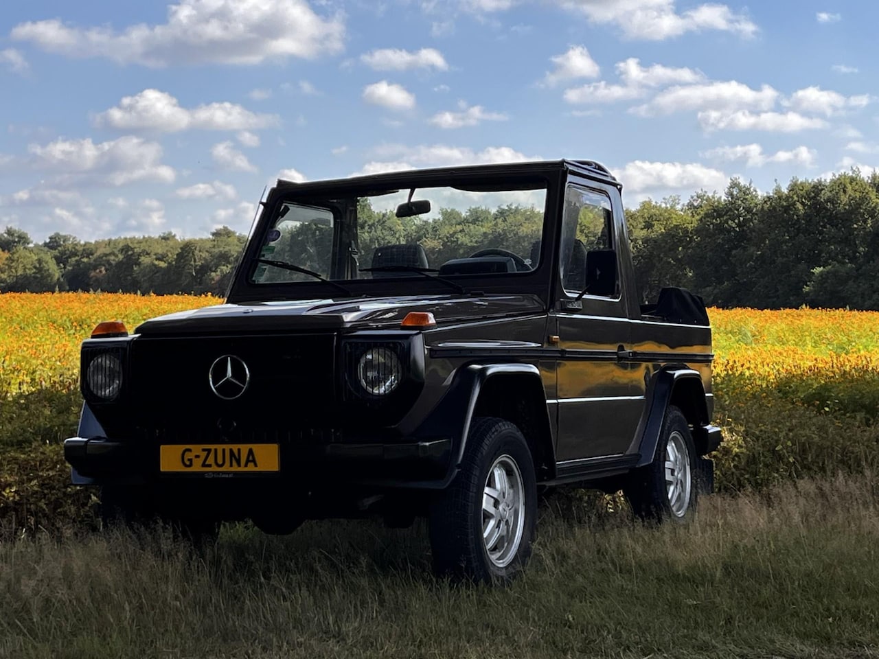 Mercedes-Benz G-klasse - W460 GE 230 CABRIO - AutoWereld.nl