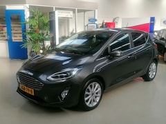 Ford Fiesta - 95PK Titanium X 5drs