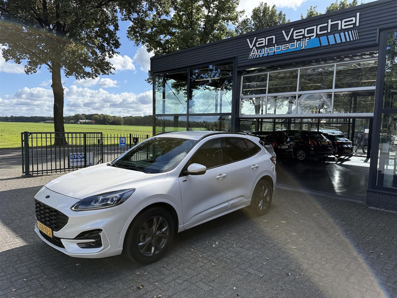 Ford Kuga - 1.5 EcoB. ST-Line X 1800 kg trekgewicht. - AutoWereld.nl
