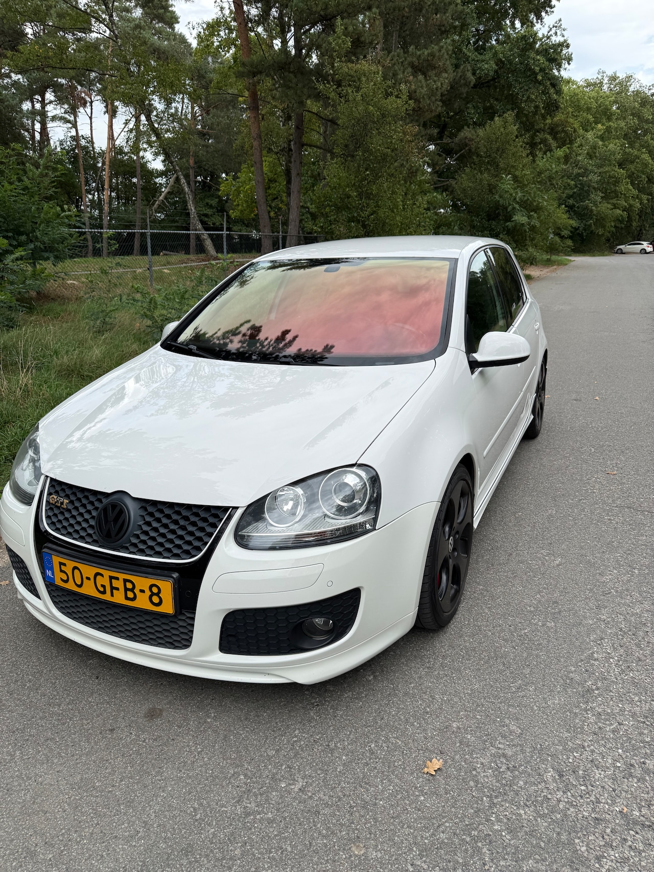 Volkswagen Golf - 2.0 TFSI GTI - AutoWereld.nl