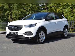 Opel Grandland X - 1.6 Turbo Business Edition Plug-In | Adaptive Cruise | Stoelverw. | Camera