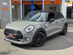 MINI Cooper - 1.5 Automaat Nardo Grey/Black Pack Navigatie Led 5-Deurs