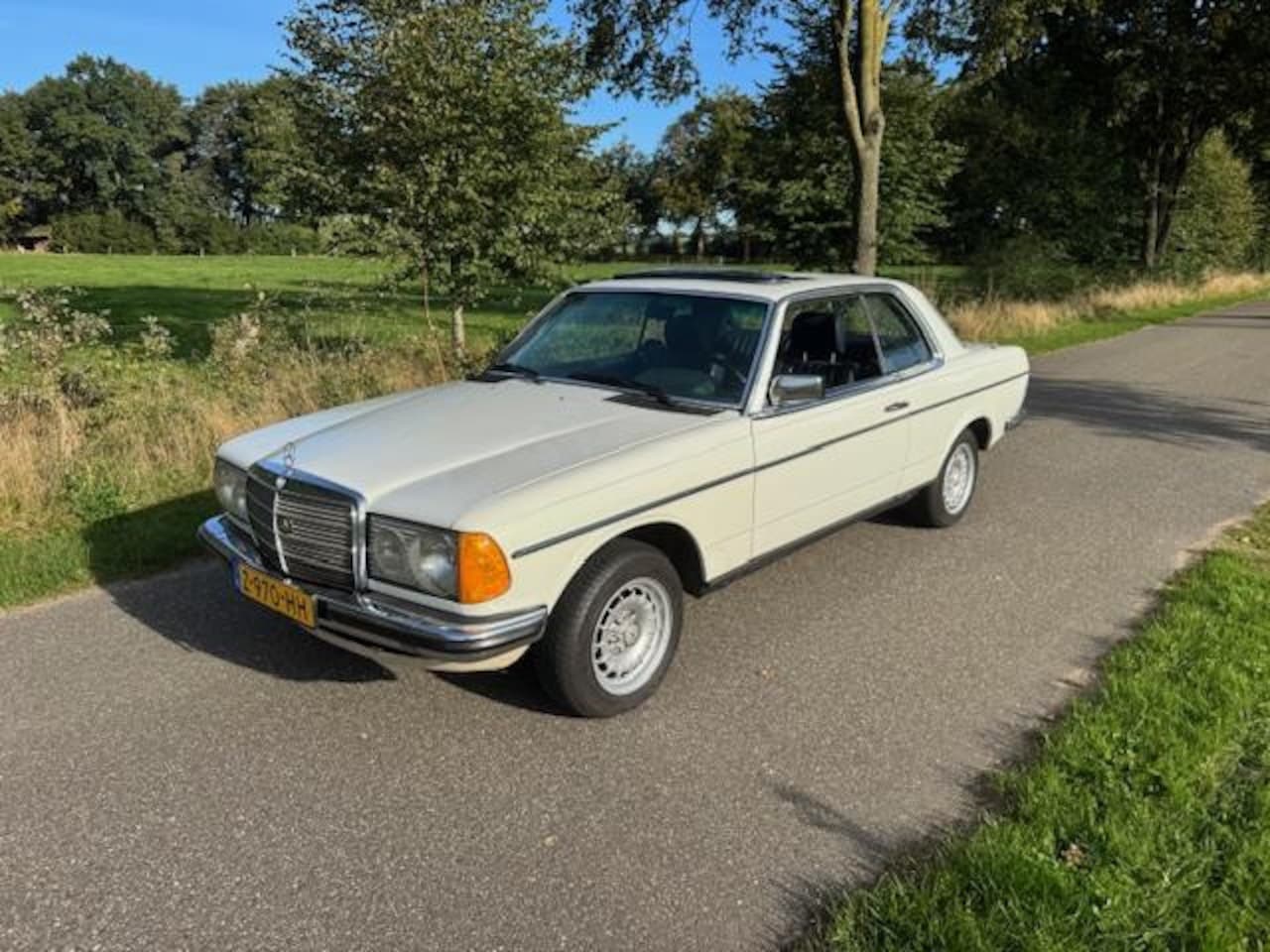 Mercedes-Benz 300-serie - W123 Coupe TD Turbodiesel 1985 Zeldzaam - AutoWereld.nl