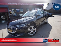 Audi e-tron - 50 quattro 313pk Launch Edition Plus Panoramadak Leer