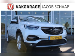 Opel Grandland X - 301PK 1.6 Turbo Hybrid4 Business Executive | Camera | Dodehoekdetectie | AppleCarplay | Ke