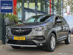 Opel Grandland X - 1.2 Turbo Business Elegance | Navigatie | ECC | PDC+ Camera | LM Velgen |