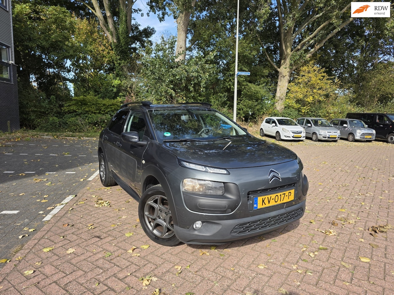 Citroën C4 Cactus - 1.2 PureTech Shine AUTOMAAT CLIMA Volledig onderhouden - AutoWereld.nl
