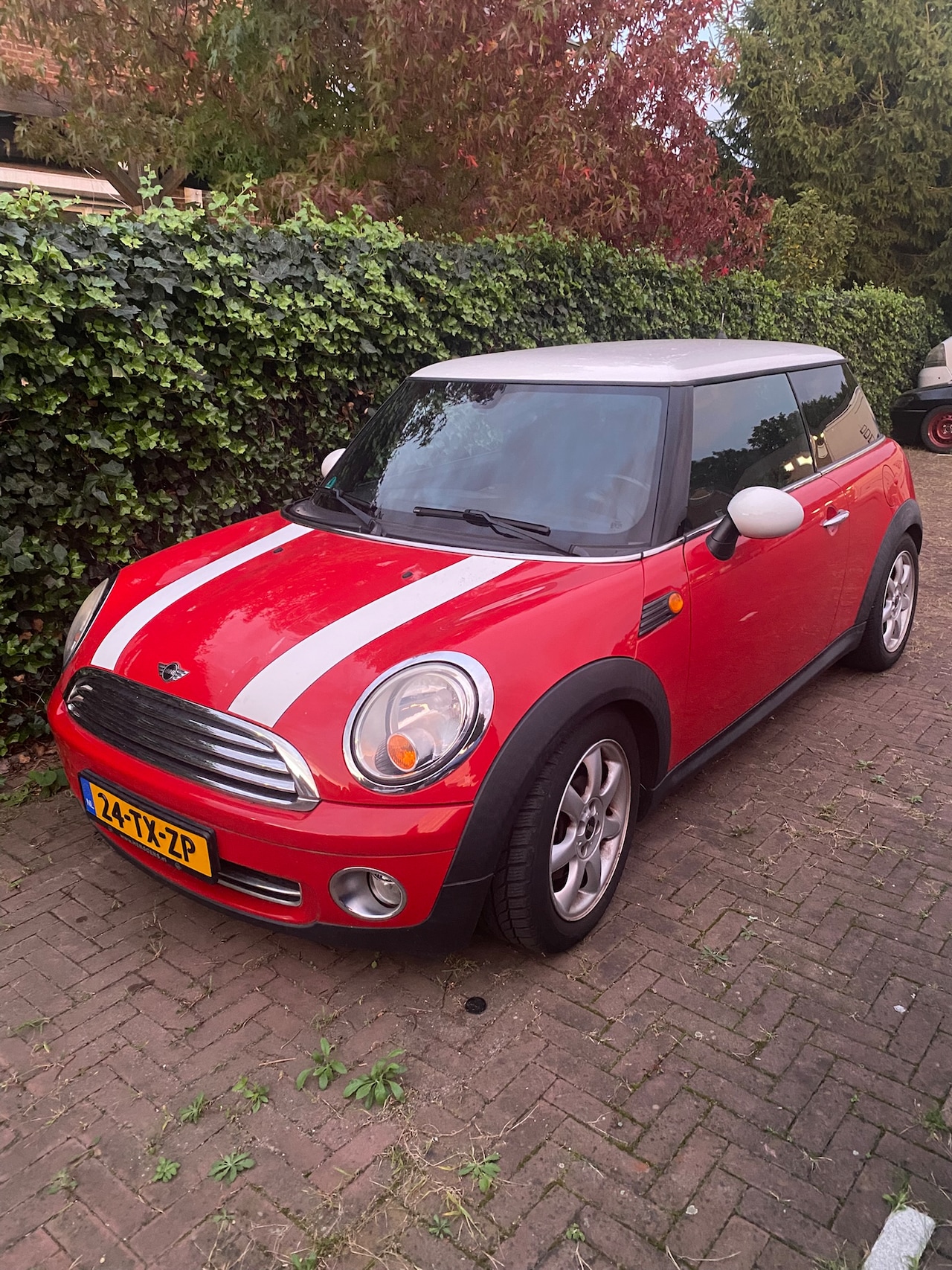 MINI Mini - 1.6 Cooper Chili Witte striping - AutoWereld.nl