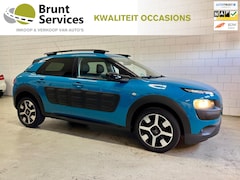 Citroën C4 Cactus - 1.2 Turbo PureTech Rip Curl Bj.17|Clima|Pdc|Lmv|Vol