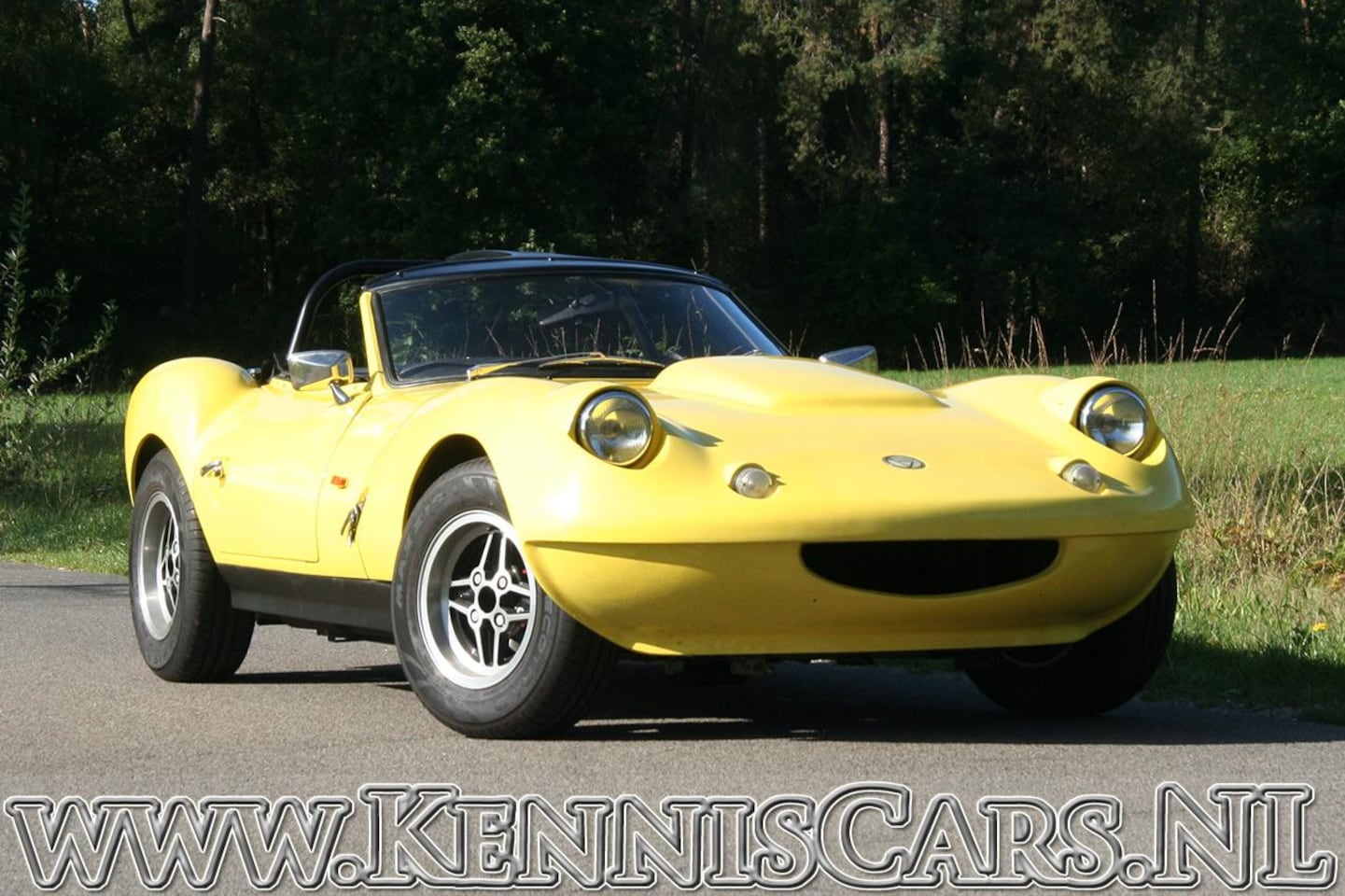 Ginetta G4 - Cabrio - AutoWereld.nl